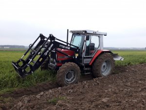 Mf 3060 + Frost Elbe