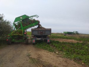 MF255 & Neptun z413 i New Holland T4 & Autosan d47 i John Deere 6100 & Autosan d47