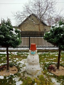 Początek zimy 2020.