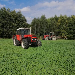 Zetor 12145 turbo unia Grudziądz xxl 5 i MF 2620 plug unia atlas vario 5