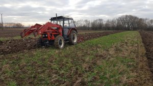 Zetor 6245- Unia Grudziądz