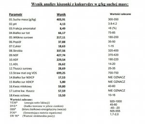Analiza kukurydzy 2020