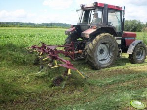 Case 845 XL Plus i Kuhn