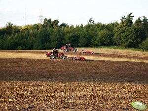 Case IH Steiger 385 + Horsch Tiger 6LT x2