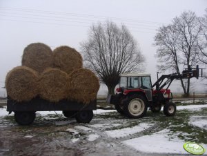 Case International 584