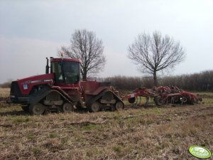 Case STX 375 + HORSCH Tiger 4 AS