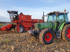 Fendt i Bizon na ściernisku po kukurydzy