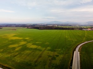 Jęczmień ozimy 06.12.2020