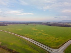 Jęczmień ozimy 06.12.2020