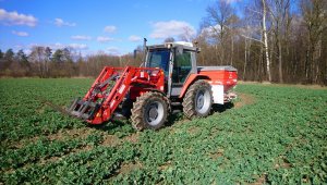 MF 3065 i Kuhn MDS 1141