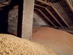 Poddasze użytkowe nad garażem