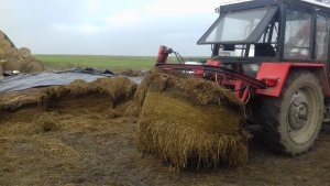 Pryzma z 1-szego pokosu