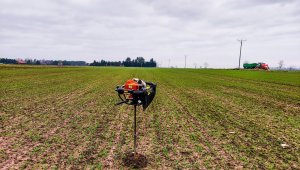 pszenica ozima 12.12.2020