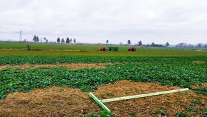 rzepak LG ambassador 12.12.2020