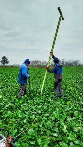 rzepak LG ambassador 12.12.2020