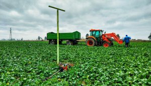 rzepak LG ambassador 12.12.2020