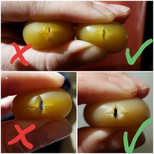 smoczki do wiaderek dla cieląt