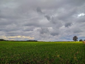Wiosenne klimaty zimą
