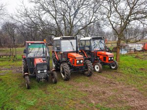 Zetor 6245 & Zetor 5211 & Ursus 2812 