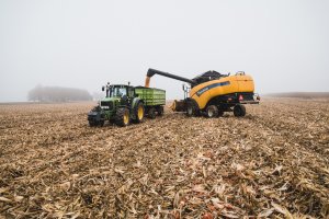 Żniwa kukurydziane 2020