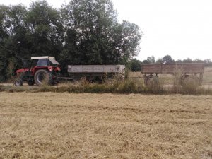 Zetor 8111+PTS 4 i Autosan D-44