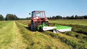 Massey Ferguson 255 + Talex Eco Cut 185