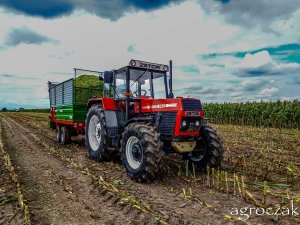 Zetor 8245 + rozrzutnik Warfama N-218