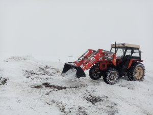 Zetor 7245