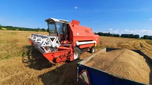 Bizon gigant Z083 1988'