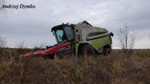 Claas Tucano 440