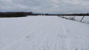 pszenica ozima top joa 9.1.2021