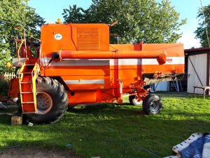 Bizon Super Z056/7 Tunezyjczyk