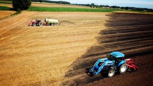 Uprawa spalonego pola