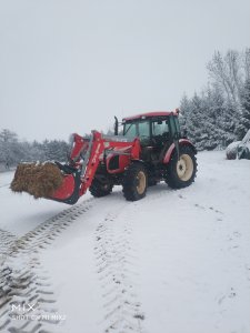 Zetor Proxima 8441