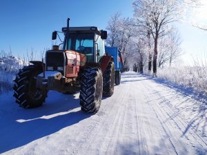 Massey Ferguson 3115