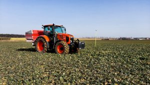 Rzepak ozimy LG Architekt - 25.02.2021