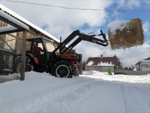 Zetor 6245