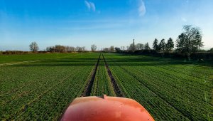 Pszenica ozima RGT Metronom 02.03,2021