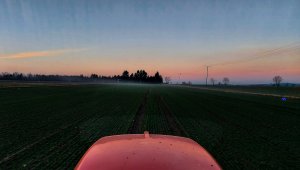 Pszenica ozima Hondia 02.03,2021