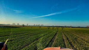 Pszenica ozima RGT Provision 02.03,2021