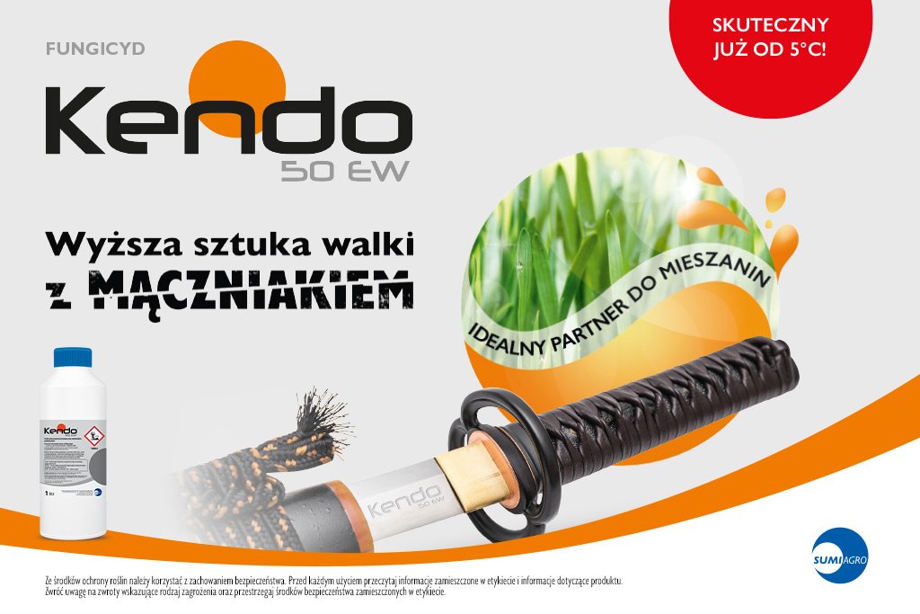 Jaki fungicyd na mączniaka prawdziwego zbóż wybrać?