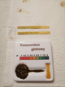 Kwasomierz i papierek lakmusowy 