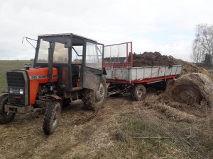 Massey Ferguson 255 + rozrzutnik obornika czarna białostocka 3.5t