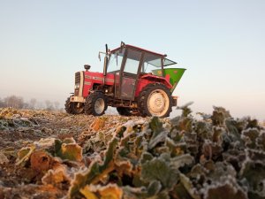 Massey Ferguson 255