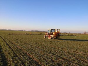 Massey Ferguson 3050 & Cebeco