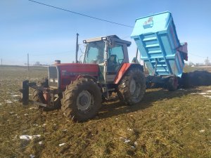 Massey Ferguson 3115