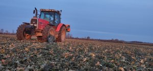 Massey Ferguson 6180 & Amazone za-m