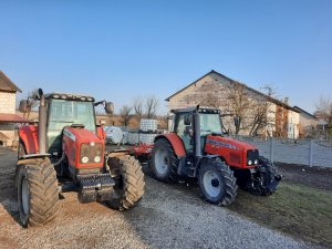 Massey Ferguson 6495 i 7475