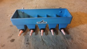 Poidło grupowe dla cielaków