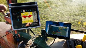 Pszenica ozima 02.03,2021